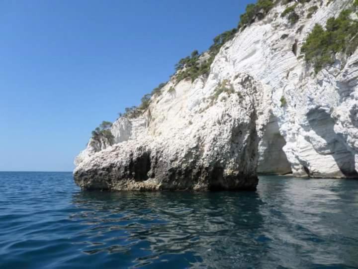 Bed&breakfast Coppadicuocobb Mattinata Esterno foto